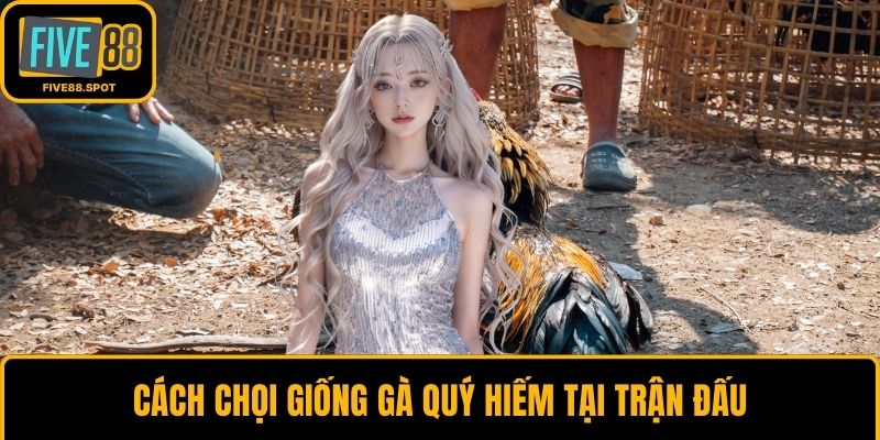 Cách chọi giống gà quý hiếm tại trận đấu