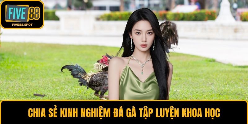 Chia sẻ kinh nghiệm đá gà tập luyện khoa học