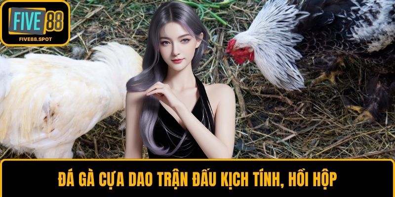 Đá gà cựa dao trận đấu kịch tính, hồi hộp
