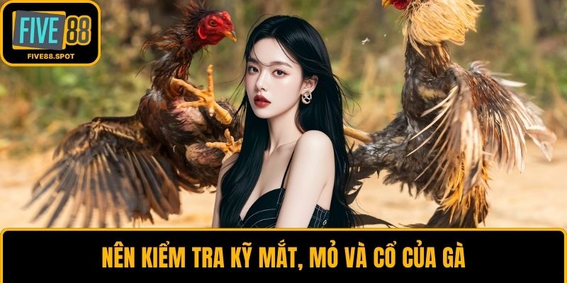Nên kiểm tra kỹ mắt, mỏ và cổ của gà