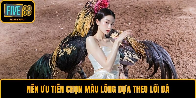 Nên ưu tiên chọn màu lông dựa theo lối đá