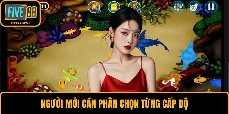 Người mới cần phân chọn từng cấp độ