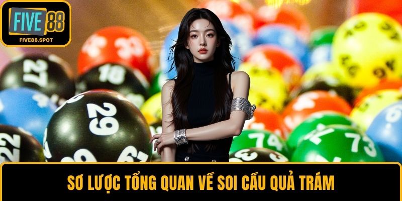 Sơ lược tổng quan về soi cầu quả trám