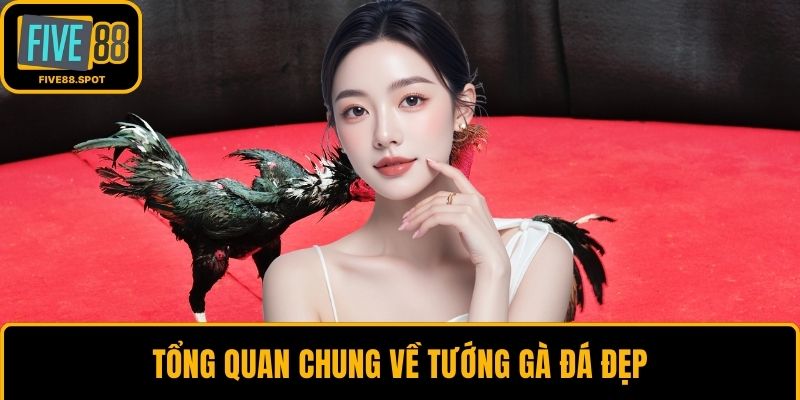 Tổng quan chung về tướng gà đá đẹp